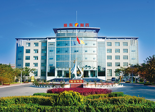 Zhendong Health Industry Group Co. Ltd.
